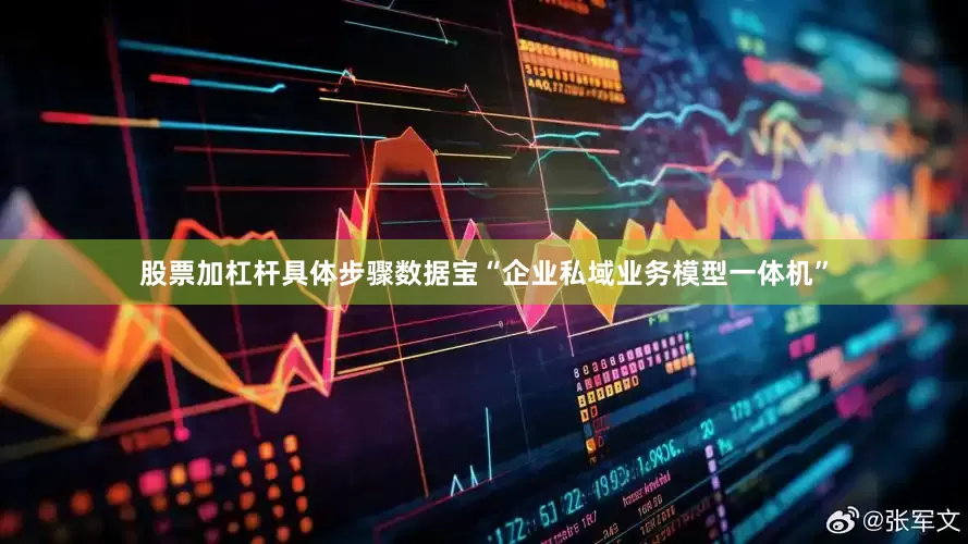 股票加杠杆具体步骤数据宝“企业私域业务模型一体机”