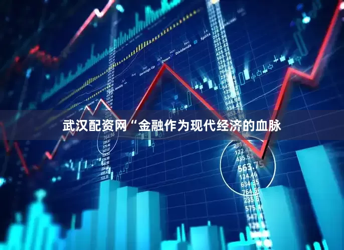 武汉配资网“金融作为现代经济的血脉