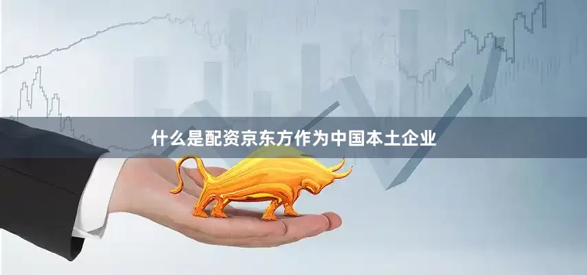 什么是配资京东方作为中国本土企业