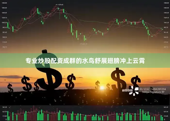 专业炒股配资成群的水鸟舒展翅膀冲上云霄
