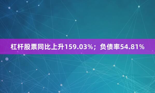 杠杆股票同比上升159.03%；负债率54.81%