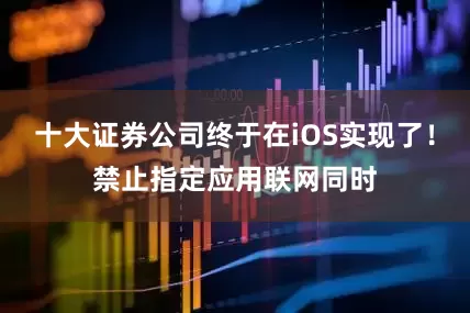 十大证券公司终于在iOS实现了！禁止指定应用联网同时