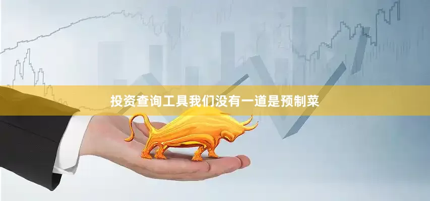 投资查询工具我们没有一道是预制菜
