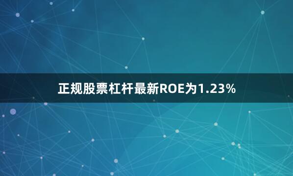 正规股票杠杆最新ROE为1.23%